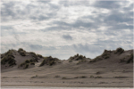Der Nordstrand auf dem Weg zur Hoogen Hörn